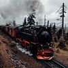 Harz narrow-gauge railway on the way to the Brocken mountain by Oliver Henze