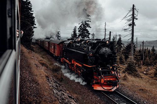 Harz narrow-gauge railway on the way to the Brocken mountain by Oliver Henze