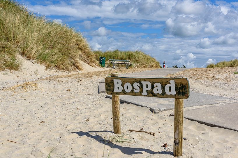 Dune crossing forest path Ameland by Walter Frisart