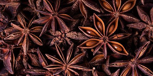 Panorama of star anise