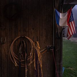 Land of Magical Horses