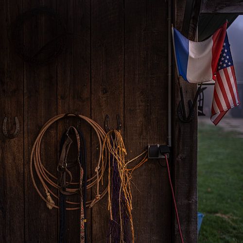 Land of Magical Horses