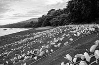 Lava zand op Sulawesi