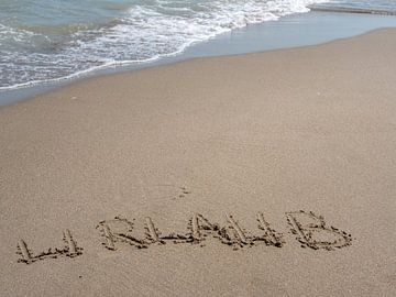 Schrijven in het zand "Holiday" symbool van Animaflora PicsStock