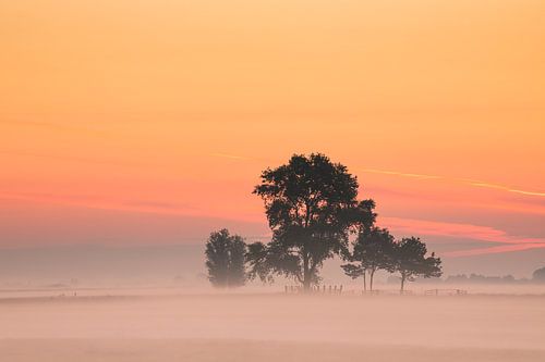 Een kleurrijke zonsopkomst!