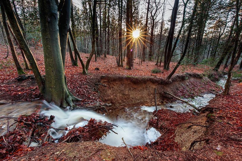 Mountain stream in the Ardennes by Rob Boon
