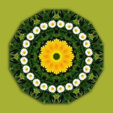 Blüten-Mandala, Gänseblümchen, Klee u. Löwenzahn van RaSch-BS_Design