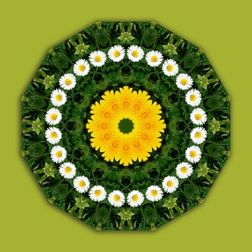 Blüten-Mandala, Gänseblümchen, Klee u. Löwenzahn