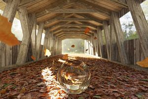 Glazen bol op zee van bladeren onder een houten brug in de herfstzon van Besa Art