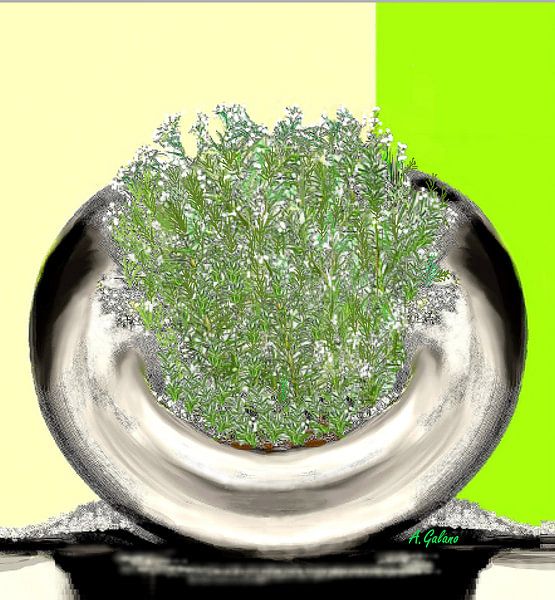 Rosemary by Annaluiza Dovinos