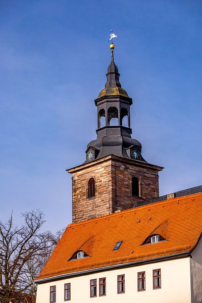Frühlingshafte Wanderung entlang der Ilm bei Bad Berka bei herrlichen Sonnenschein - Thüringen - Deutschland von Oliver Hlavaty
