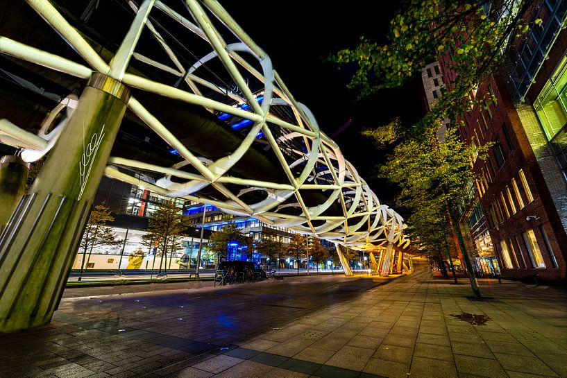 das Netkous Den Haag 2 von Vincent Wienhoven