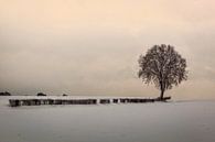 Lonely Tree van Rob Boon thumbnail