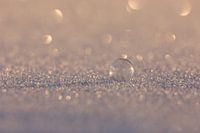 Frozen bubble becomes a pearl