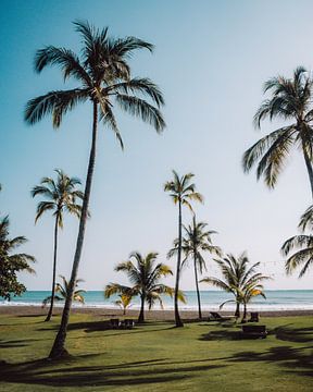 Tropisch strand met palmbomen | Panama | Reisfoto van Expeditie Aardbol
