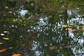 Untitled #4 by Sander van Yperen