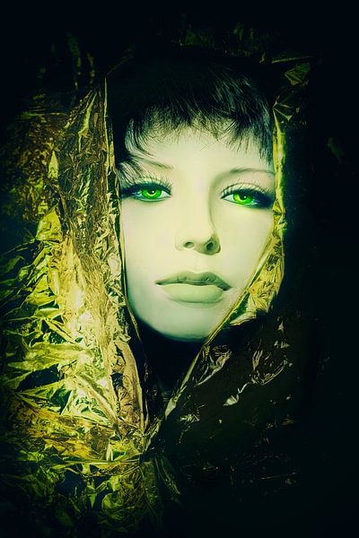 Porträt im Licht von Marijke de Leeuw - Gabriëlse