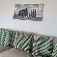 Photo de nos clients: Italie en noir et blanc carré, "Les cyprès de Toscane". par Teun Ruijters, sur toile