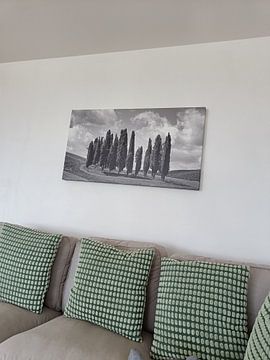 Kundenfoto: Italien in quadratischem Schwarz-Weiß, 'Die Zypressen der Toskana'. von Teun Ruijters