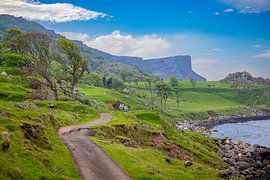 Murlough Bay: An Undiscovered Pearl of Natural Beauty by Antwan Janssen