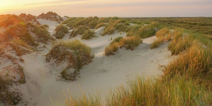 Dünen an der Boschplaat auf Terschelling von Dirk van Egmond