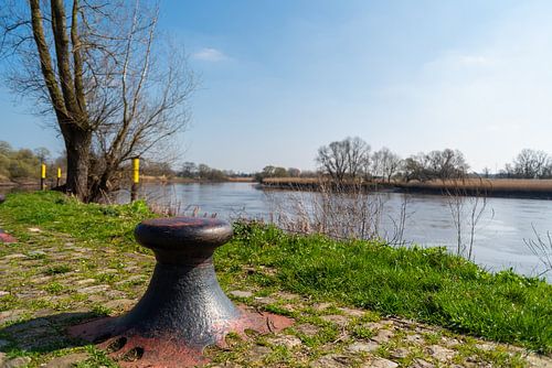 Eine Fotosafari durch den Knoops Park in Bremen am Fluss Lesum