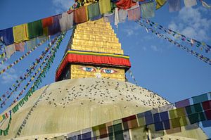 Boudhanath Stupa Katmandou sur Jeroen Smit