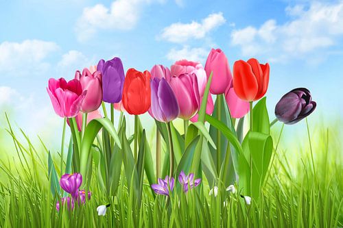 Tulpen van Jeannette Penris