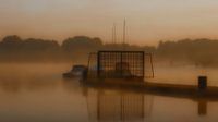 Morning fog
