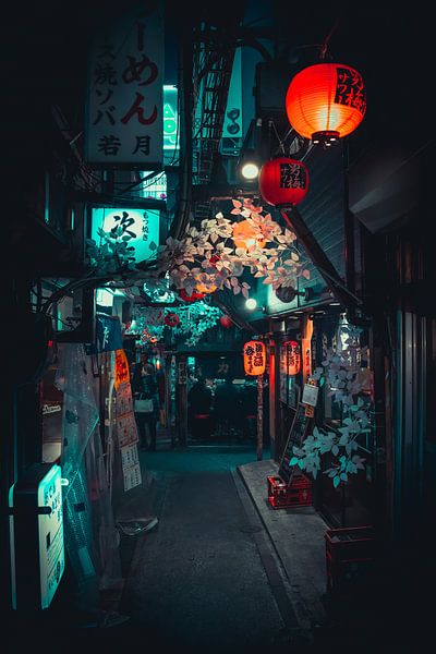 Straße mit Restaurants und Laternen in Shinjuku von Mickéle Godderis