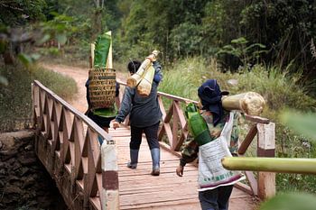 Frauen im Schlepptau