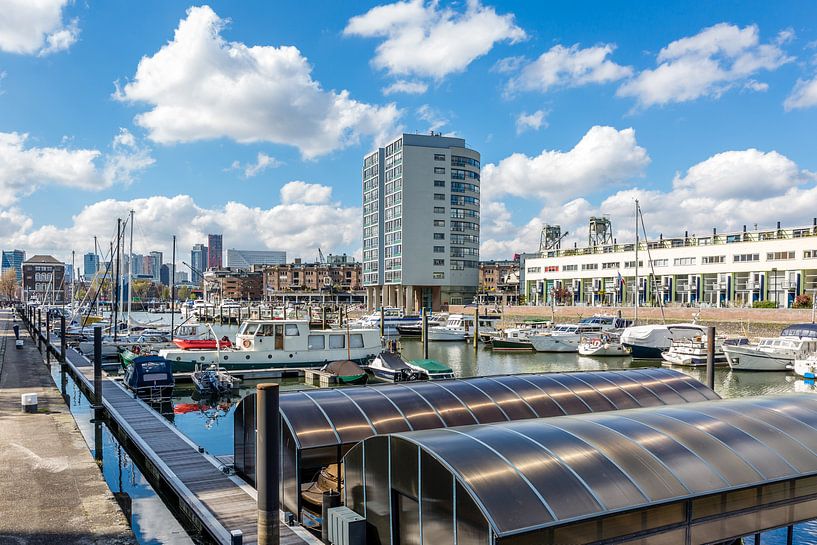 boten in de haven van Rotterdam, Nederland van Marc Goldman