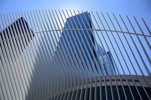 Lines & Licht