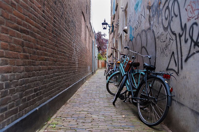 Haarlem, steegje met fietsen by Cilia Brandts