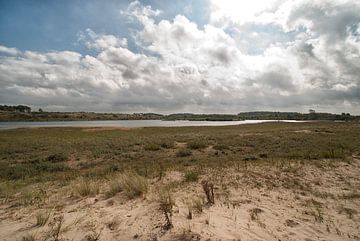 Landschap natuurgebied Zuid Kennemerland