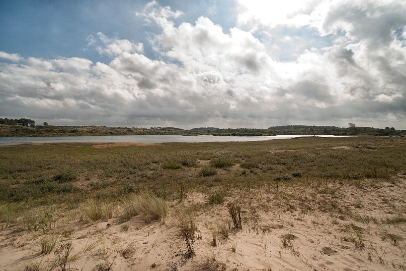Landscape nature reserve South Kennemerland by Sander J