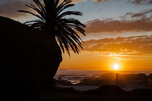 Afrikaanse zonsondergang