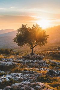 Sonnenaufgang in Andalusien