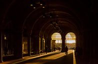 Rijksmuseum Passage Amsterdam. by Don Fonzarelli thumbnail