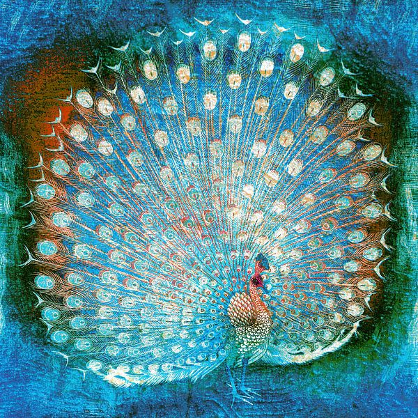Japanischer Pfau auf Wasserblau von Mad Dog Art