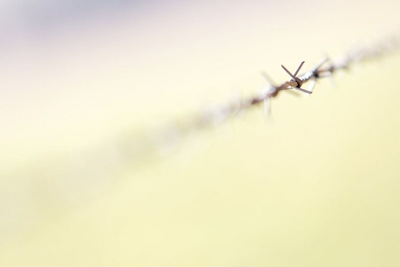 Minimalisme par Henrik Oskam