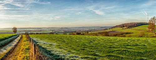 Panorama van Eyserhalte en Eyserbos