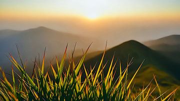 Delicaat uitzicht op de bergen