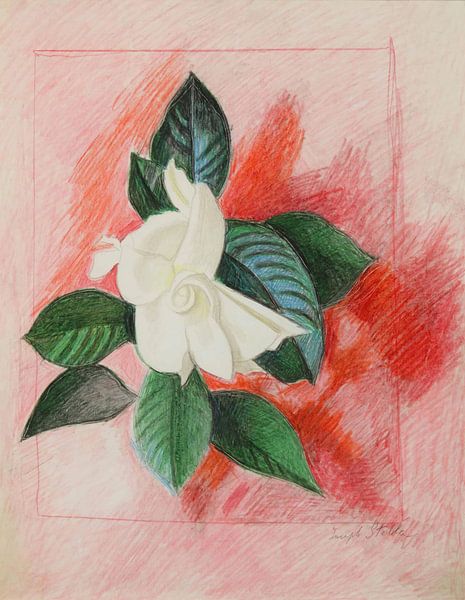 Gardenia, Joseph Stella by Masterful Masters