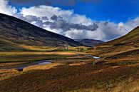 Newbiggings landschap te Schotland van Steven Reynders thumbnail