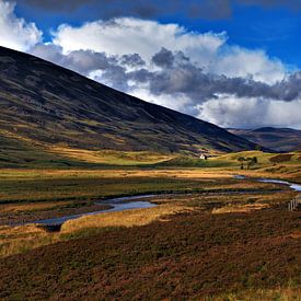 Newbiggings landschap te Schotland van Steven Reynders