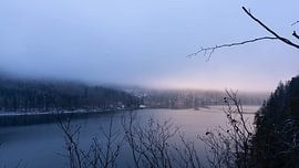 Beautiful View with great Light over the Alpsee in Bavaria - Lake Picture in Moody Winter Landscape with empty Space von Sebastian Czech