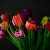 Ein schöner Tulpenstrauß. von Priscilla Lecomte