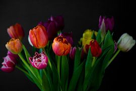 A beautiful bunch of tulips.