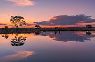 Coucher de soleil à Holtveen, dans le parc national du Dwingelderveld par Henk Meijer Photography Aperçu